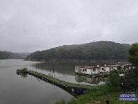 삼인낚시터 유료낚시터 > 가깝고 물 좋고 경치 좋은 토종 붕어터 ~~!!-용인삼인낚시터- : 낚시사랑