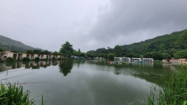 즐거운복상골 유료낚시터 > 촉촉한 날들이네요~~~ : 낚시사랑