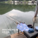 양평그린낚시터 유료낚시터 > 양평 그린낚시터 6/30 (월) 주말조황 정보 및 방류 소식 : 낚시사랑
