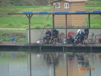 오빈낚시터 유료낚시터 > ~~~아주좋은 조황 보이고 있습니다~~~ : 낚시사랑