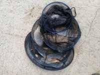 고잔낚시터 유료낚시터 > 금, 토 조황 : 낚시사랑