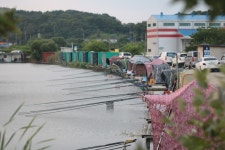 내동지 유료낚시터 > *** 300번째 2마리 남았습니다 *** : 낚시사랑