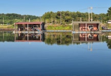 성호낚시터 유료낚시터 > 조황정보 성호낚시터. : 낚시사랑