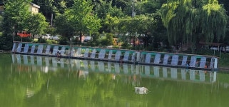 양평수곡낚시터 유료낚시터 > 여름시즌 계곡지 피서 힐링 수곡낚시터 주말호조황속 꾸준한조황 및 붕어방류 : 낚시사랑