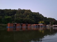 회암지 유료낚시터 > 안성회암낚시터 조황정보^^ : 낚시사랑