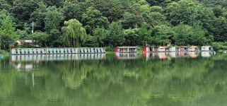 양평수곡낚시터 유료낚시터 > 여름휴가 피서낚시 양평 힐링 수곡낚시터 호조황속 주말조황 및 붕어방류 : 낚시사랑