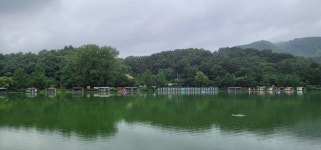 양평수곡낚시터 유료낚시터 > 여름휴가 피서낚시 양평 힐링 수곡낚시터 호조황속 주말조황 및 붕어방류 : 낚시사랑