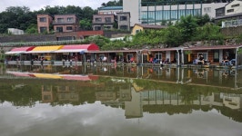 장광낚시터 유료낚시터 > 안성[장광] 7 월 21 대방류~~대박조황 : 낚시사랑