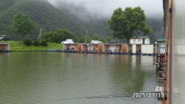 대석낚시터 유료낚시터 > 계속 이어지는 호조황 입니다.. : 낚시사랑