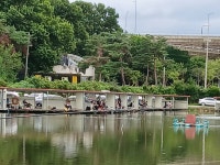 고잔낚시터 유료낚시터 > 주말 조황__민생회복 소비쿠폰 사용가능 합니다 : 낚시사랑
