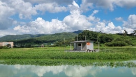 고삼지 양촌 유료낚시터 > 고삼저수지 상류권 조황입니다. : 낚시사랑