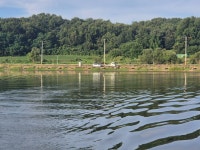 성호낚시터 유료낚시터 > 7월26일 성호낚시터 이천. : 낚시사랑