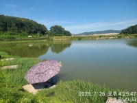 고초골낚시터 유료낚시터 > 고초골 어자원 방류 및 조황소식 : 낚시사랑