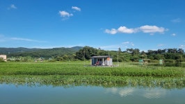 고삼지 양촌 유료낚시터 > 고삼저수지 사짜붕어 조황입니다. : 낚시사랑