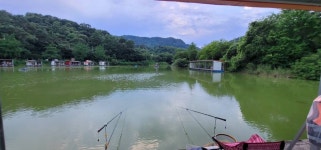양평수곡낚시터 유료낚시터 > 본격적 여름휴가 계곡지피서 힐링 수곡낚시터 주중조황도 꾸준한 조과 및 오늘과 주말 붕어방류 : 낚시사랑