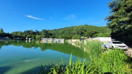 즐거운복상골 유료낚시터 > 복숭아가 한창인 복상골입니다~~~ : 낚시사랑