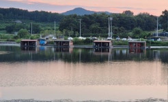 성호낚시터 유료낚시터 > 일요일 8월3일 조황 성호낚시터 이천. : 낚시사랑