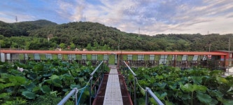 양평수곡낚시터 유료낚시터 > 8월의 시작 여름휴가 피서 힐링 수곡낙시터 주말도 꾸준한 조황 및 붕어방류 : 낚시사랑