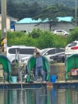 마전낚시공원 유료낚시터 > 오늘도 어김없는 호조황!! : 낚시사랑