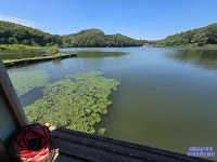삼인낚시터 유료낚시터 > 가깝고 물 좋고 경치 좋은 토종 붕어터 ~~!!-용인삼인낚시터- : 낚시사랑