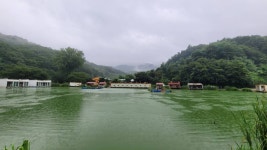 즐거운복상골 유료낚시터 > 광복 80주년,막바지 휴가~~~ : 낚시사랑