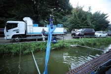 한터낚시터. 유료낚시터 > 2025 / 08 / 15 (금요일) 한터낚시터 붕어 향어 메기 방류 했습니다~ : 낚시사랑