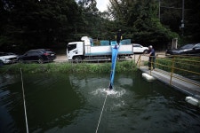 한터낚시터. 유료낚시터 > 2025 / 08 / 16 (토요일) 한터낚시터 붕어 메기 향어 대량 방류 했습니다~ : 낚시사랑