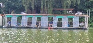 양평수곡낚시터 유료낚시터 > 연휴기간 여름시즌 힐링 수곡낚시터 주말도 꾸준한 조황이 나오며 큰 편차는 없네요 : 낚시사랑