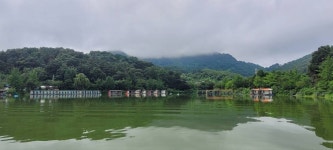 양평수곡낚시터 유료낚시터 > 연휴기간 여름시즌 힐링 수곡낚시터 주말도 꾸준한 조황이 나오며 큰 편차는 없네요 : 낚시사랑