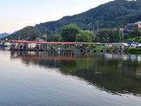 산들낚시터 유료낚시터 > 아산 산들낚시터 8월23일 방류 및 조황정보 : 낚시사랑