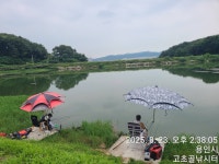 고초골낚시터 유료낚시터 > 고초골 조황소식 : 낚시사랑