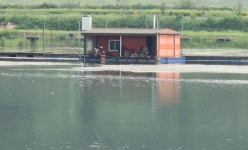 성호낚시터 유료낚시터 > 금요일 조황정보 성호낚시터. : 낚시사랑