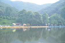 상덕낚시터 유료낚시터 > [상덕낚시터] 8월 3주차 이야기 - 용인 상덕 : 낚시사랑