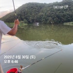 양평그린낚시터 유료낚시터 > 양평 그린낚시터 8/31 (일) 주말 조황 정보 및 방류 소식 : 낚시사랑