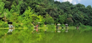 양평수곡낚시터 유료낚시터 > 8월 끝주 힐링 수곡낚시터 주말조황도 주중에 이어 큰편차 없이 꾸준한 모습입니다 : 낚시사랑