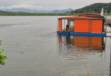 성호낚시터 유료낚시터 > 화요일 9월2일 조황정보 성호낚시터. : 낚시사랑