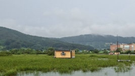 고삼지 양촌 유료낚시터 > 고삼지 상류권 조황입니다. : 낚시사랑