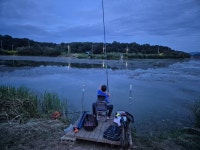 성호낚시터 유료낚시터 > 금요일 조황정보 성호낚시터. : 낚시사랑