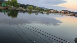 영종낚시터(구만정낚시터) 유료낚시터 > 2025.09.05(금) 가을맞이 하나요?^^* 입질 활발, 이 번 주말낚시 기대~ : 낚시사랑