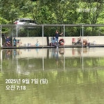 양평그린낚시터 유료낚시터 > 양평 그린낚시터 9/8 (월) 주말 조황 정보 및 방류 소식 : 낚시사랑