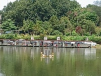 고잔낚시터 유료낚시터 > 주말 양어장/저수지 사진 전합니다 : 낚시사랑