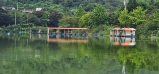 양평수곡낚시터 유료낚시터 > 9월둘째주 초가을 힐링 양평 수곡낚시터 주초반 조황도 꾸준하며 편차는 다소 있었네요 : 낚시사랑