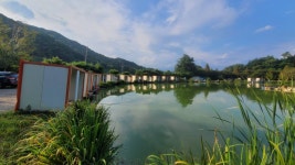 즐거운복상골 유료낚시터 > 이번주는 장어 들어가는 주 입니다~~~ : 낚시사랑