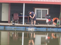 성호낚시터 유료낚시터 > 성호낚시터 화요일 조황정보. : 낚시사랑