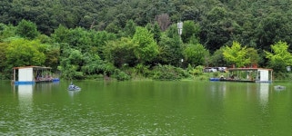 양평수곡낚시터 유료낚시터 > 가을여행 힐링 수곡낚시터 둘째주말 조황 소식및 붕어방류 : 낚시사랑