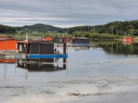 성호낚시터 유료낚시터 > 목요일 조황정보 성호낚시터. : 낚시사랑
