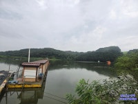 삼인낚시터 유료낚시터 > 가깝고 물 좋고 경치 좋은 토종 붕어터 ~~!!-용인삼인낚시터- : 낚시사랑