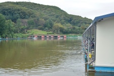 상덕낚시터 유료낚시터 > [상덕낚시터] 9월 2주차 이야기 - 용인 상덕 : 낚시사랑