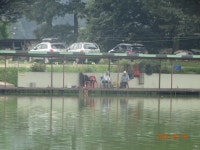 오빈낚시터 유료낚시터 > ~~자리편차 없이 꾸준한 조황 보이고 있습니다~~~ : 낚시사랑