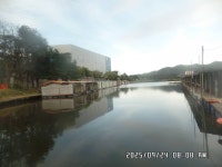 도곡낚시터 유료낚시터 > 도곡낚시터 붕어 조황 정보 감사합니다 : 낚시사랑